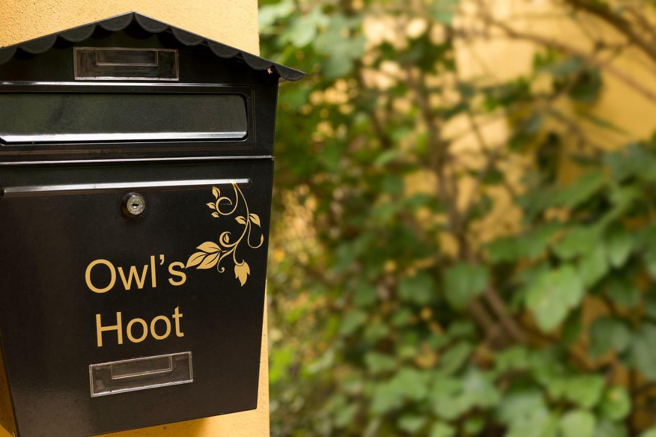 Owl'S Hoot Villa Thorndon Kültér fotó